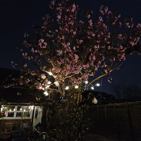 Lotus Pod House Homestay Horsell Luaran gambar