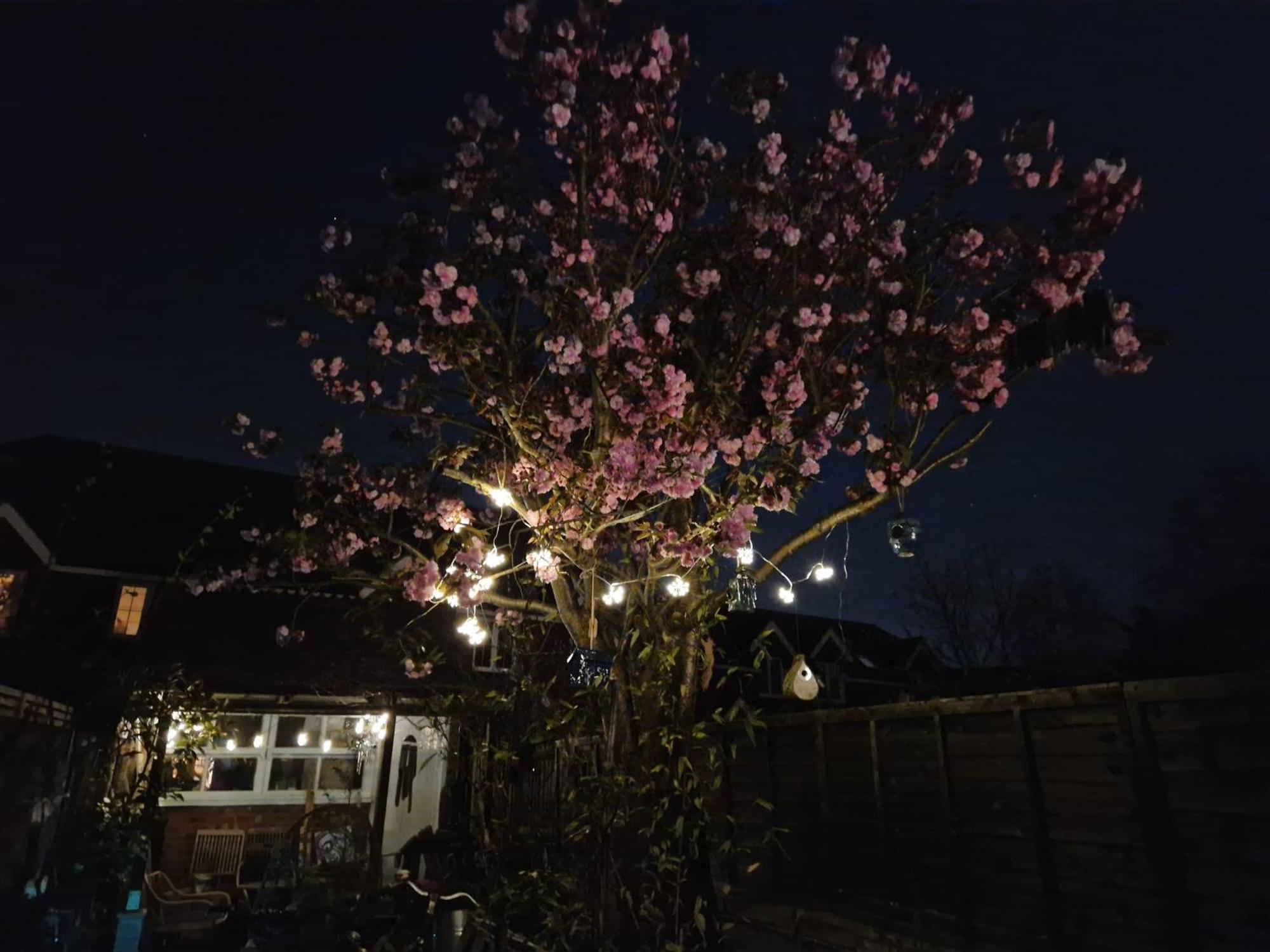 Lotus Pod House Homestay Horsell Luaran gambar
